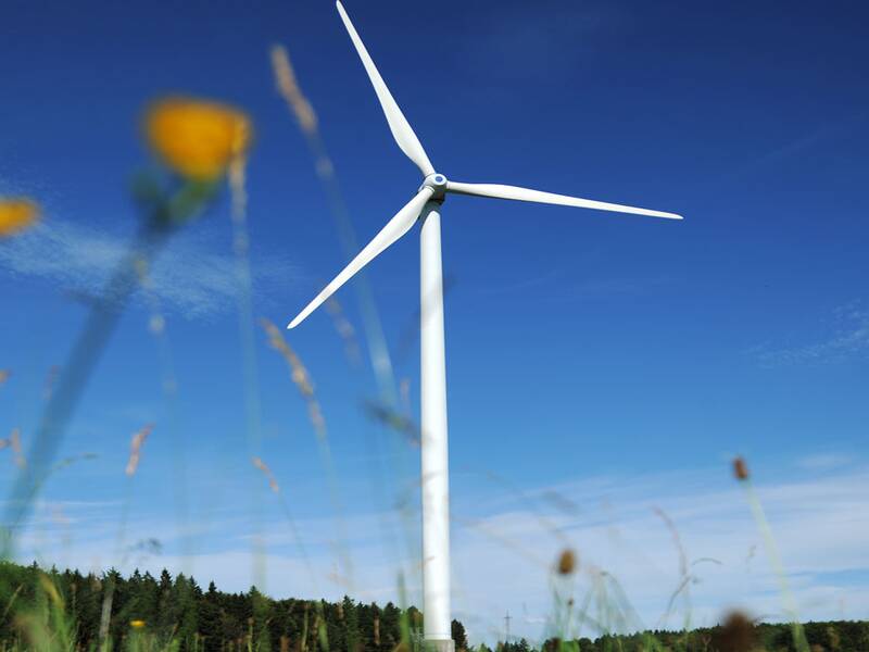 Eine einzelne Windkraftanlage steht auf einem Feld unter klarem blauen Himmel, umgeben von Gras und vereinzelten Bäumen.