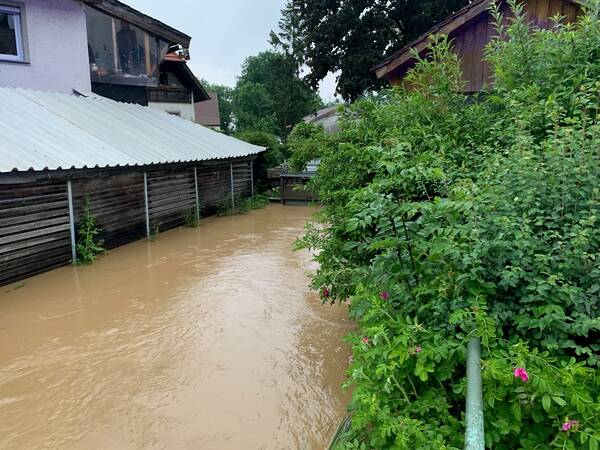 Ein überfluteter Bereich mit braunem Wasser, der neben einem Gebäude und umgeben von dichter Vegetation verläuft.