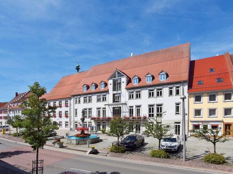 Das Bild zeigt das Rathaus - ein großes, traditionelles Gebäude mit rotem Ziegeldach und mehreren Fenstern, davor eine gepflasterte Straße, parkende Autos und ein Brunnen mit Blumen in einem städtischen Umfeld.