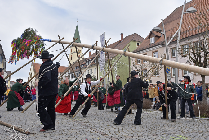 Großer Narrenbaum wird durch Zimmermänner und Narren gestellt 