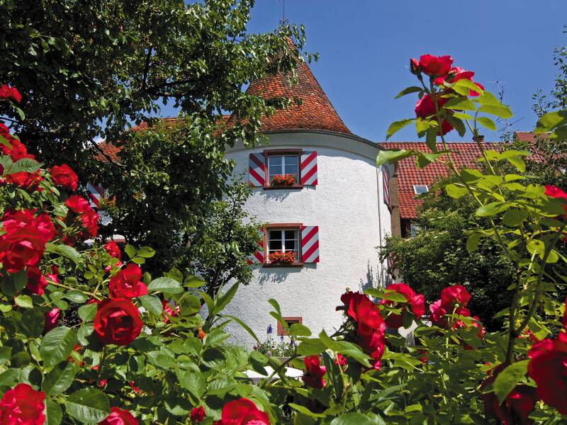 Turm im Hintergrund, im Vordergrund sind rote Blumen zu sehen