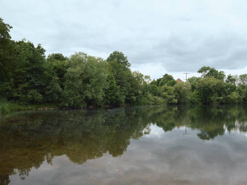 Der Kofenweiher spiegelt das umgebende Grün von Bäumen und Büschen unter einem bewölkten Himmel wider.