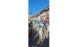 Wetti-Zunft Behla e.V. | Stadt Hüfingen